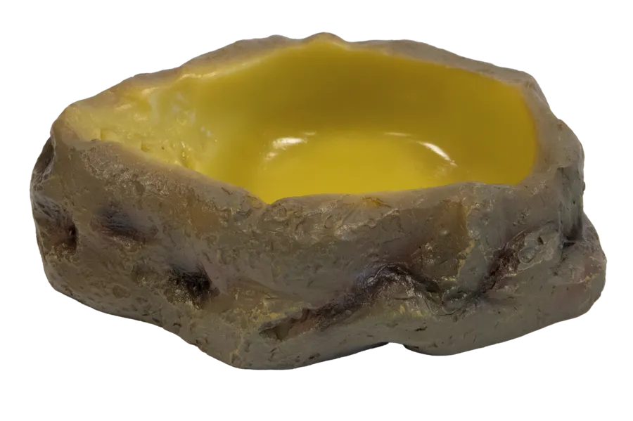 Gamelle naturelle Repto Deco Water Dish