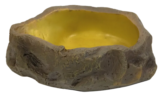 Gamelle naturelle Repto Deco Water Dish