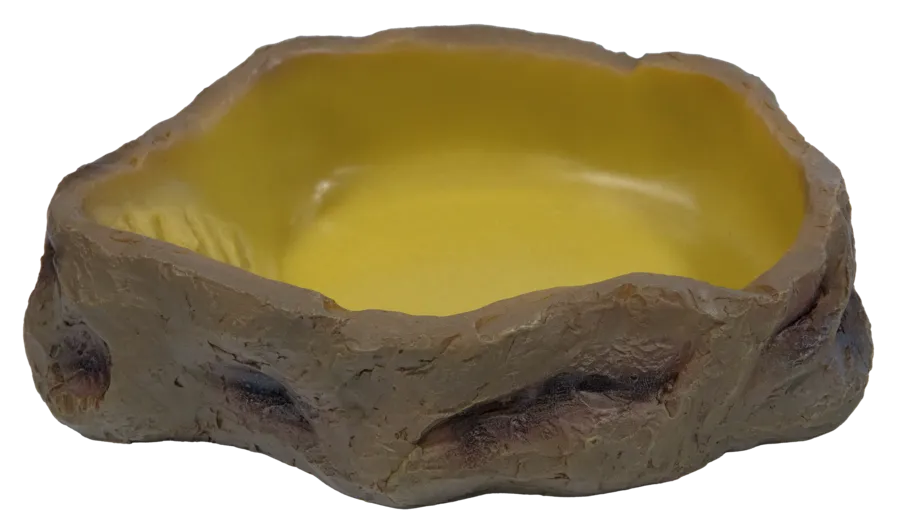 Gamelle naturelle Repto Deco Water Dish