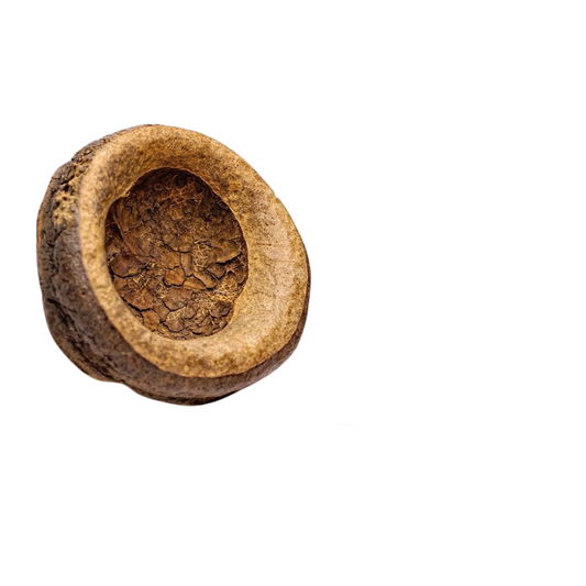 Gousse de Chapeuzinho