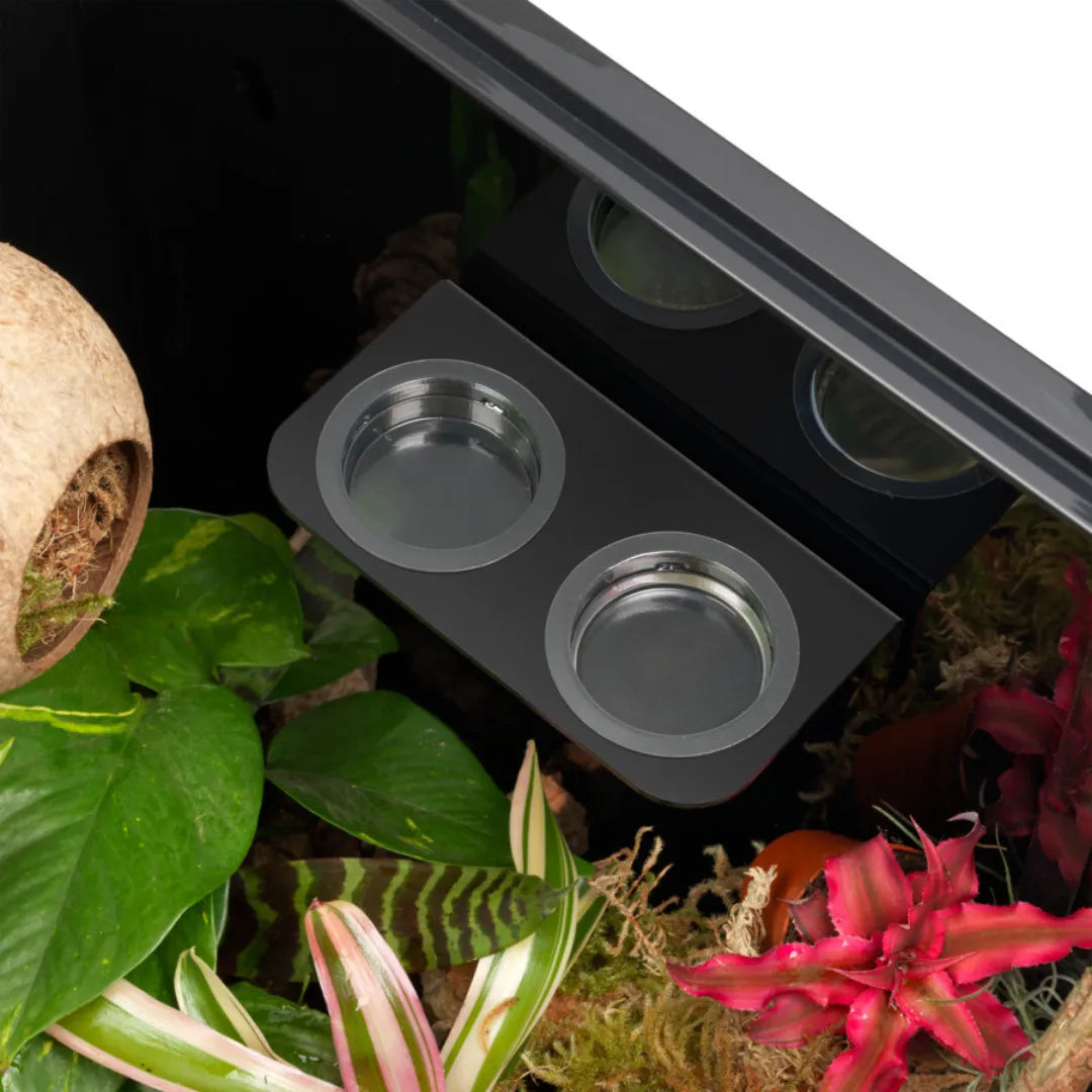 Arboreal Feeding Ledge HabiStat - Double