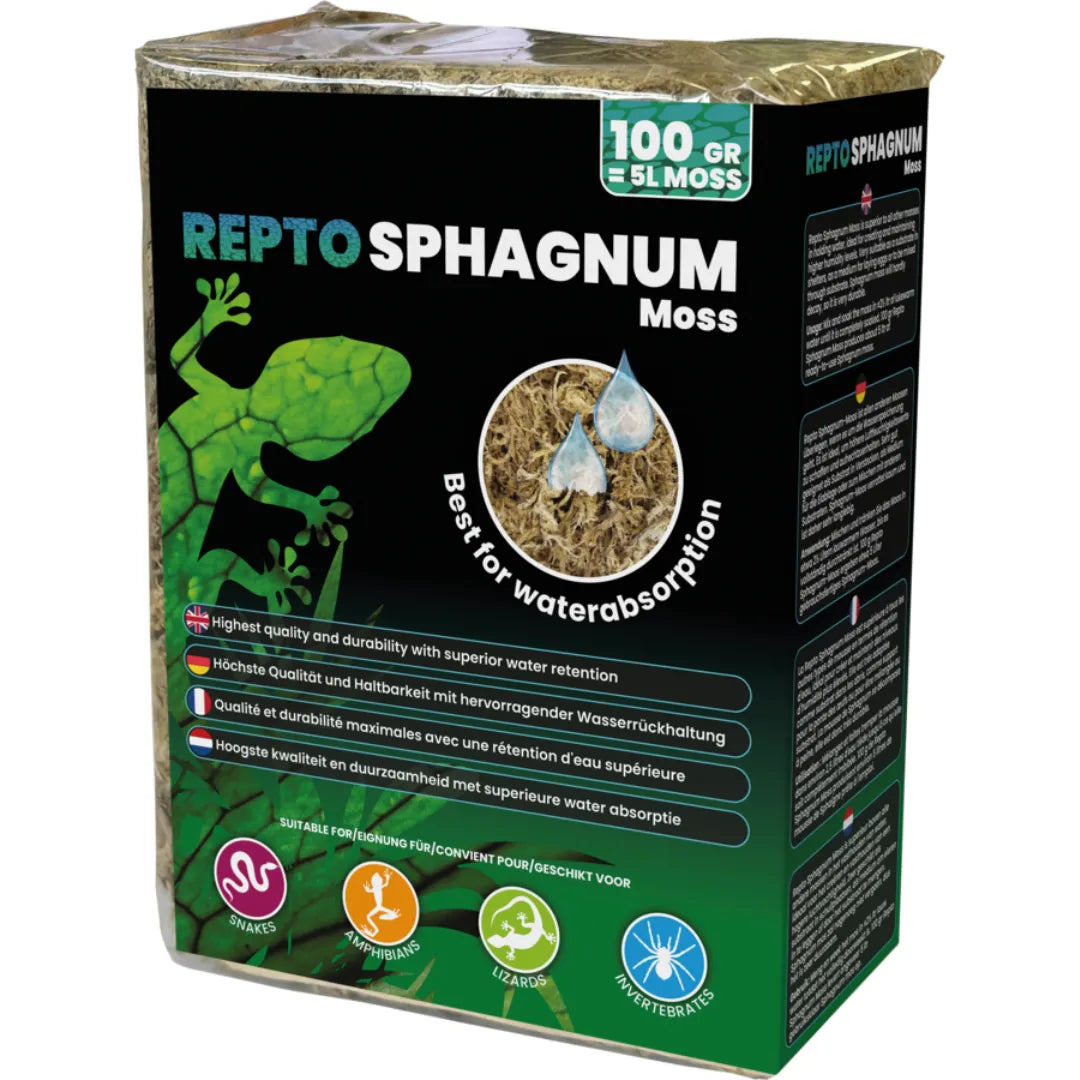 Mousse de Sphaigne naturelle 100g - REPTO