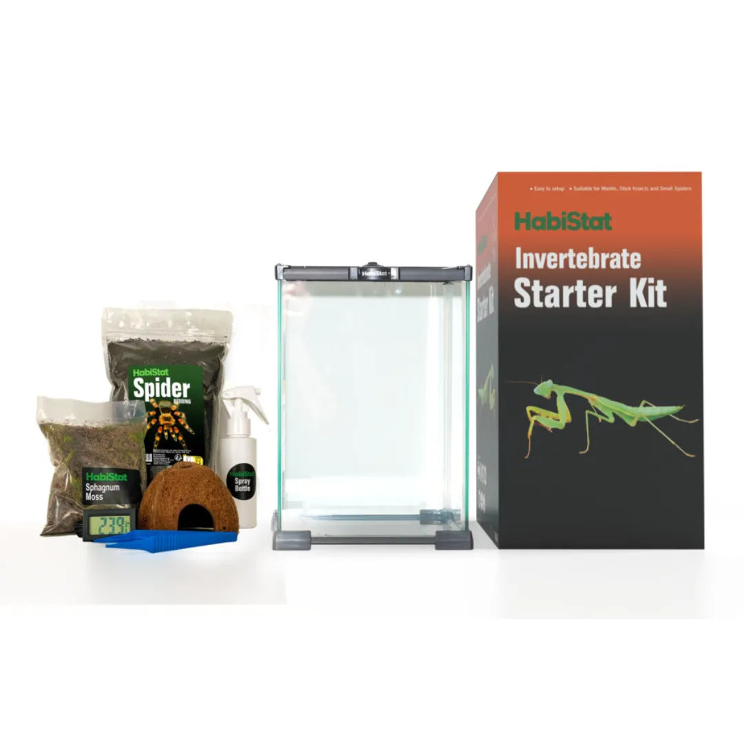 Kit de démarrage complet Invertébrés HabiStat
