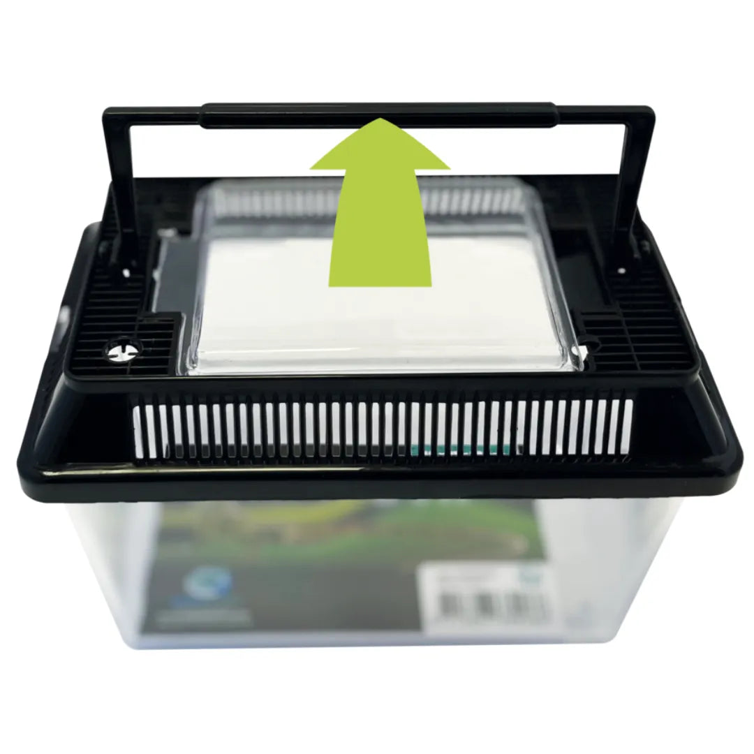 Terrarium plastique "Repto Box"