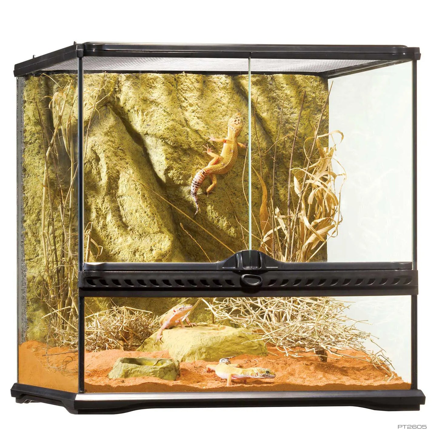 Terrarium en verre - Exo Terra