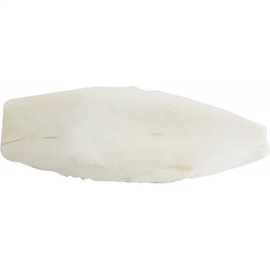 Os de seiche "Sepia bone" - Lucky Reptile