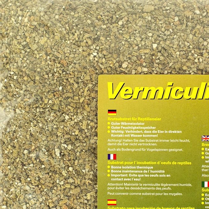 Vermiculite pour incubation des oeufs de reptiles