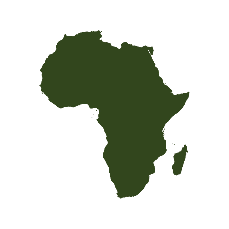 Biotope Africain