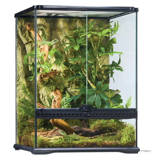 Terrarium en verre - Exo Terra