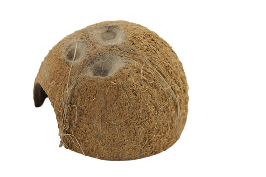 Demi noix de Coco