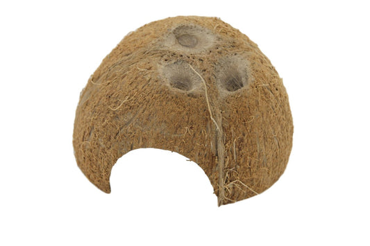 Demi noix de Coco
