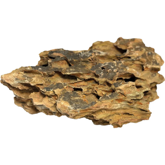 Dragon stone
