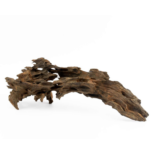 Dragon Wood