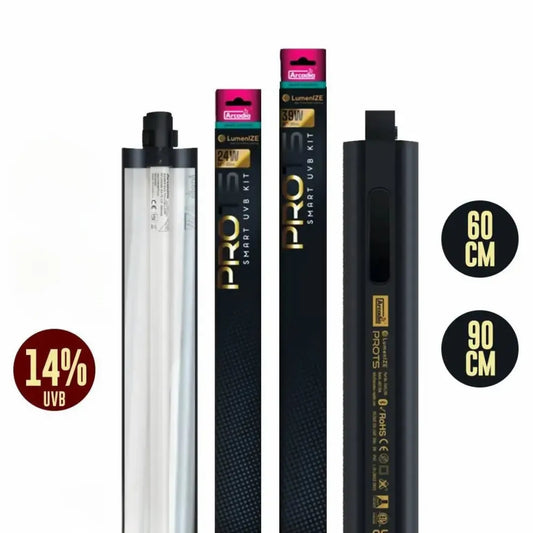 Rampe Arcadia connectée "LumenIZE Pro T5 Kit DRAGON UVB 14%"