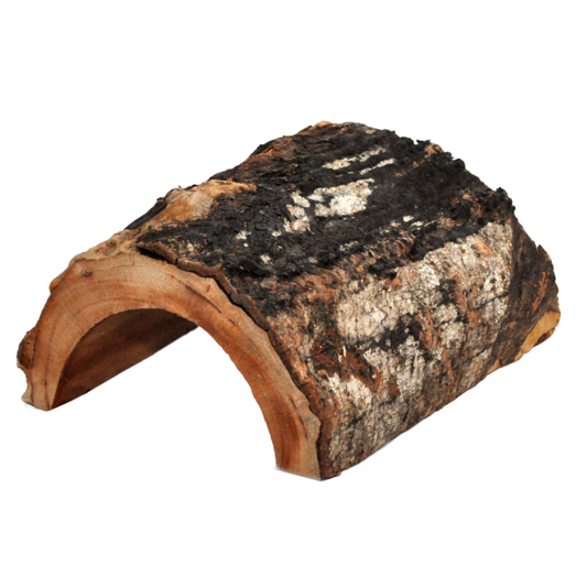 Cachette HabiStat pour Reptiles 100% naturelle "Forest Hideouts"