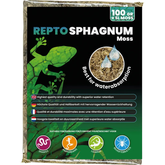 Mousse de Foret naturelle 100g - REPTO