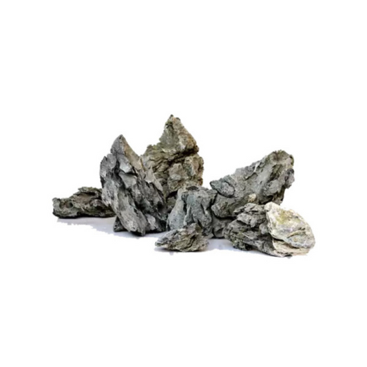 Seiryu Stone