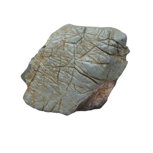 Prehist rock