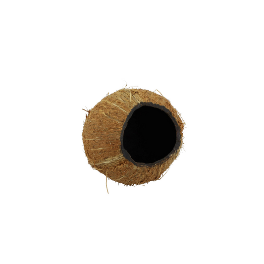 Noix de coco 3/4