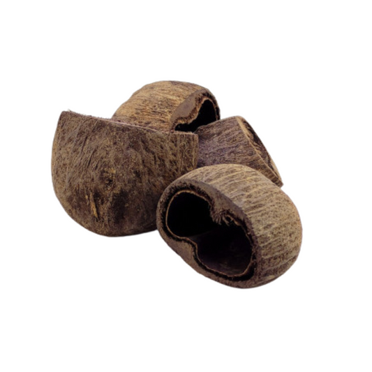 Cosse de Palmier
