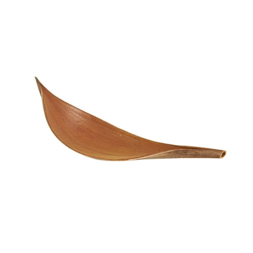 Feuille de Cocotier