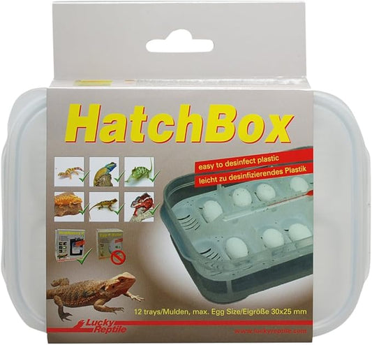 Boite d'incubation "HatchBox" - Lucky Reptile