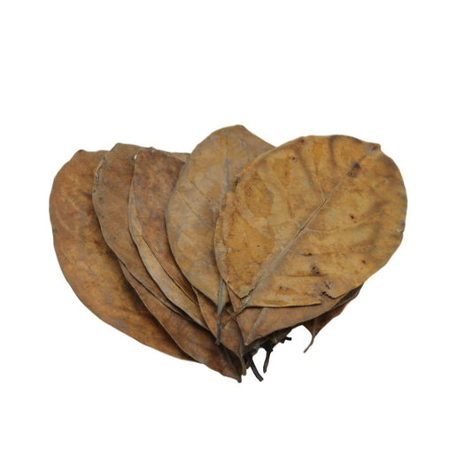 Feuilles de Jacquier